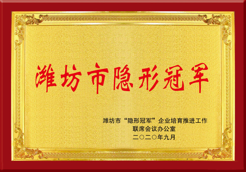 濰坊(fang)市隐形(xing)冠軍