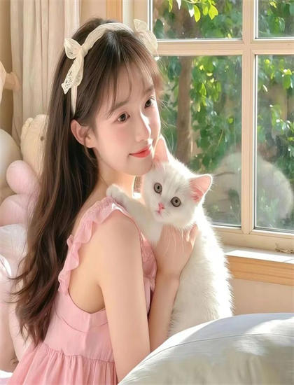 从文化视角看音乐片《追匪》：航拍的大场面与宏观视角 认识艺术的文化教育功能